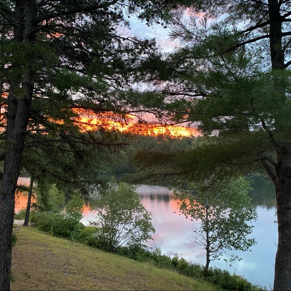 Meet your Posher, Beth - Picture 13 of 14